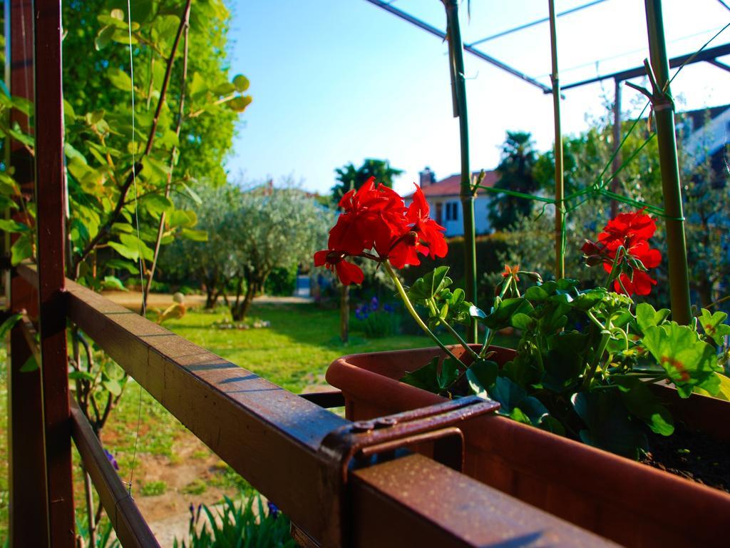 Nada Apartments Porec Luaran gambar
